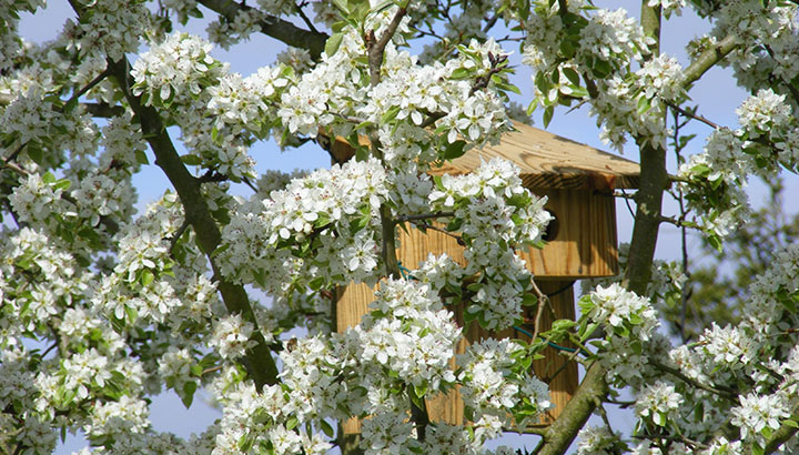 Inauguration de la vitrine de biodiversité de Gond-Pontouvre